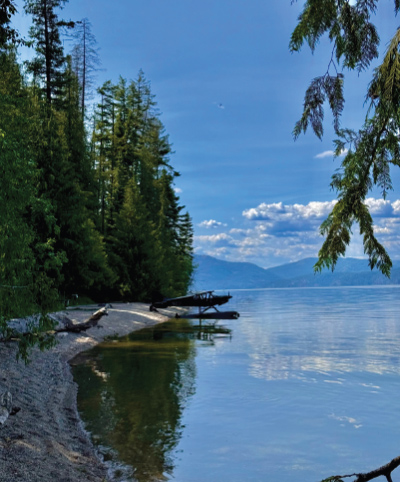 initial ratings float planes